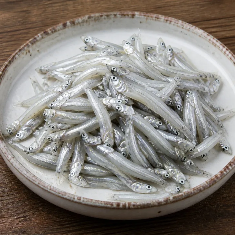 생멸치