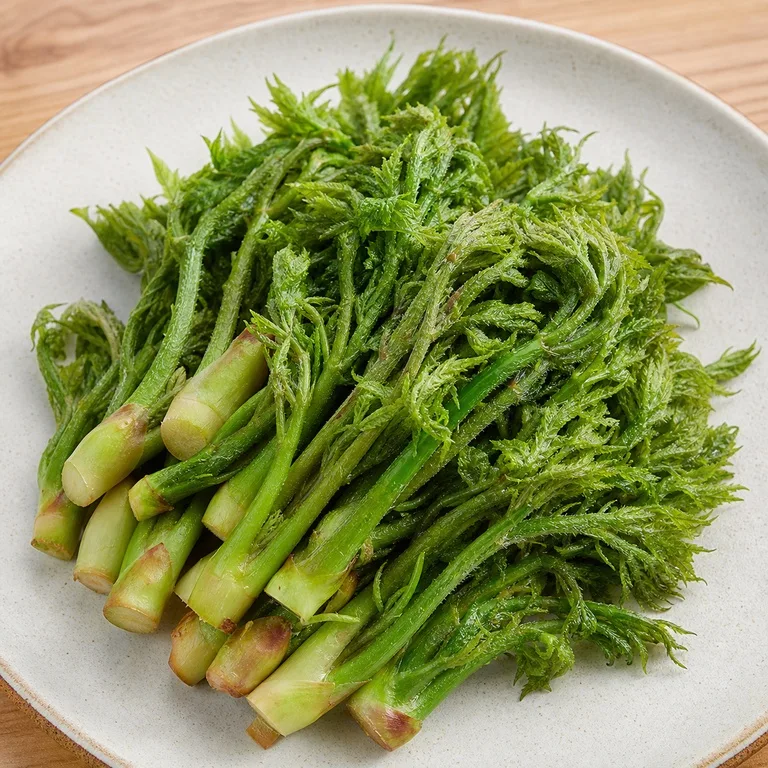 タラノキの芽