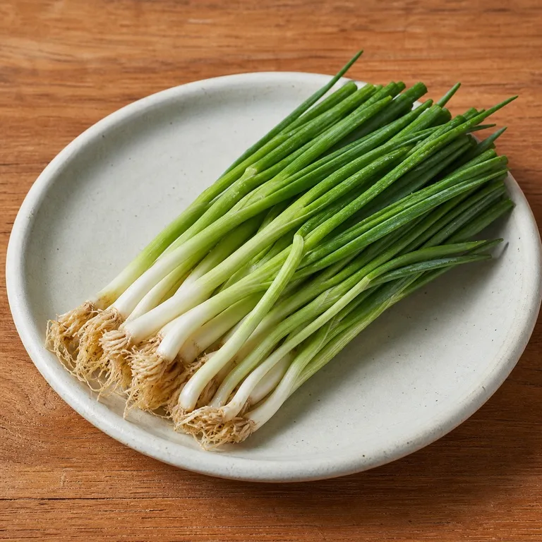 노지쪽파