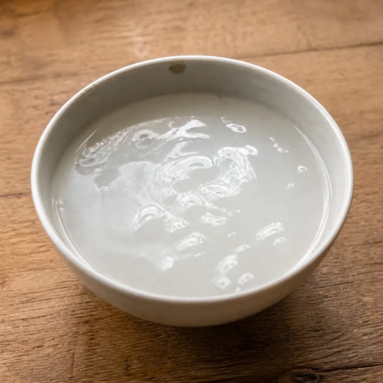 녹말물