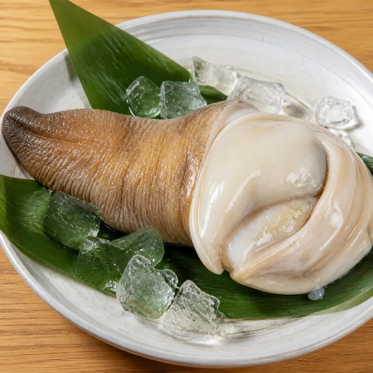 대왕코끼리조개