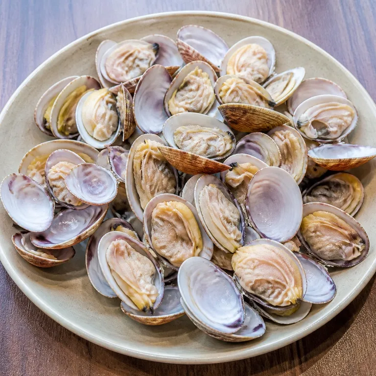 Kerang Keras